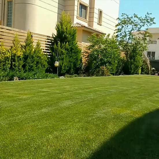 تركيب الثيل الطبيعي — عمل 1