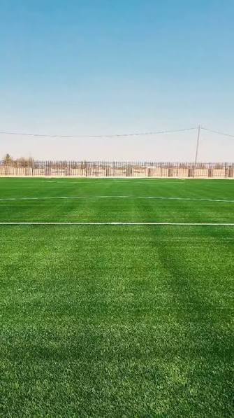 تصميم الملاعب الرياضية — لماذا نحن